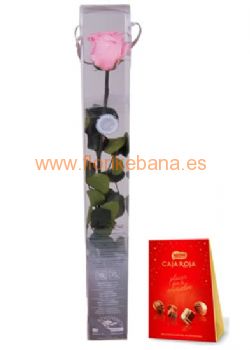 Ramo lilium rosas