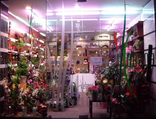 Florister&iacute;a Logro&ntilde;o