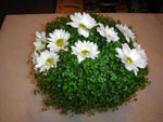 Boda Eventos 7