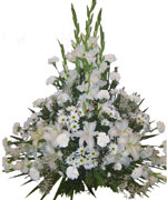 Boda Centro 1