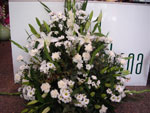Boda Centro 3
