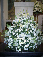 Boda Centro 6