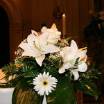 Boda Centro 8
