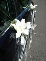 Boda Coches 1