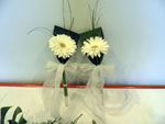 Boda Coches 2