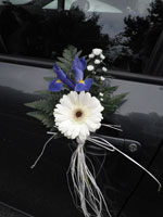 Boda Coches 3
