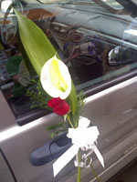 Boda Coches 4
