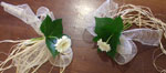 Boda Coches 5