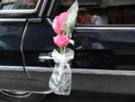 Boda Coches 6