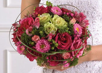 Pack Boda Elite