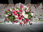 Boda Centro 10