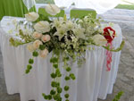 Boda Centro 13