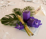 Boda Centro 14