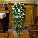 Boda Centro 4
