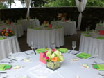 Boda Centro 6