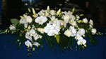 Boda Centro 7