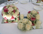 Boda Centro 9