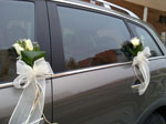 Boda Coches 1