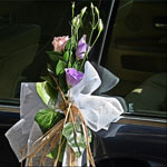 Boda Coches 3