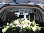 Boda Coches 6