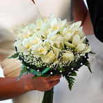 Boda Ramo 11