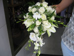 Boda Ramo 2