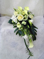 Boda Ramo 6