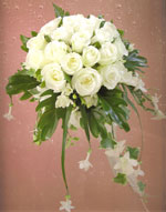 Boda Ramo 8