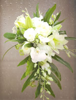 Boda Ramo 9
