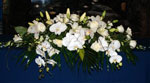 Boda Centro 4