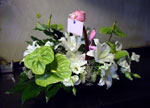 Boda Centro 5
