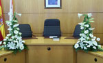 Boda Centro 9