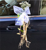 Boda Coches 1