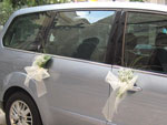 Boda Coches 2