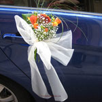 Boda Coches 3
