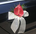 Boda Coches 4