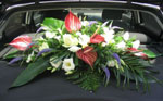 Boda Coches 5