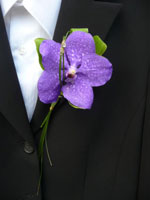 Boda Prendido 6