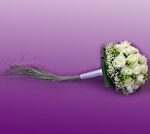 Boda Ramo 2